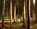 PDVD_1686