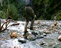 PDVD_1731