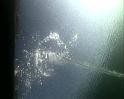 PDVD_289