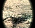 PDVD_616