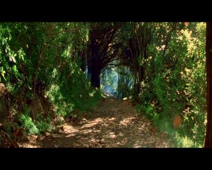 PDVD_1056.jpg