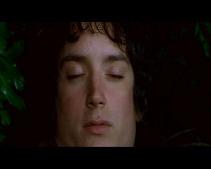 PDVD_1090.jpg