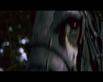 PDVD_1094.jpg