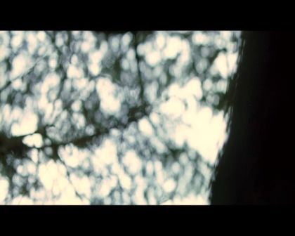 PDVD_1101.jpg