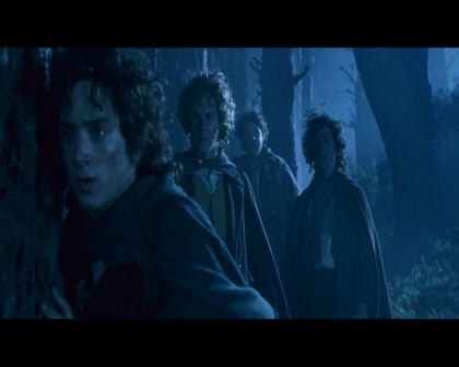 PDVD_1122.jpg