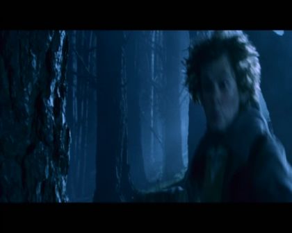 PDVD_1126.jpg
