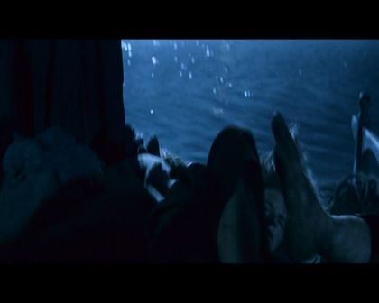 PDVD_1166.jpg
