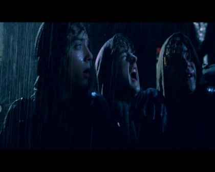 PDVD_1205.jpg