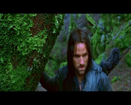 PDVD_1420.jpg