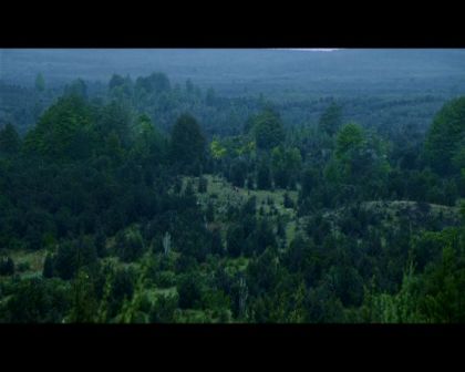 PDVD_1430.jpg