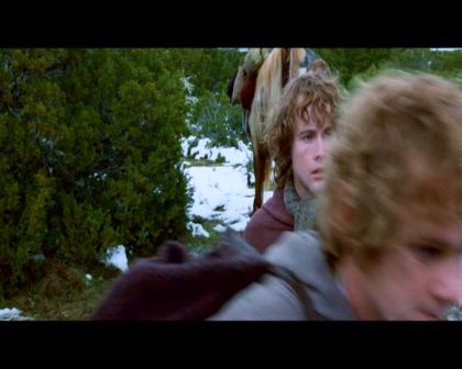 PDVD_1453.jpg
