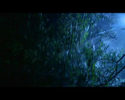 PDVD_1484.jpg