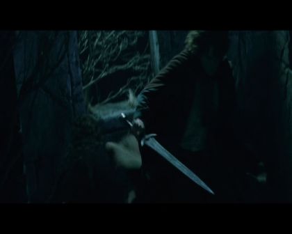 PDVD_1533.jpg