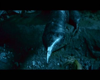 PDVD_1553.jpg