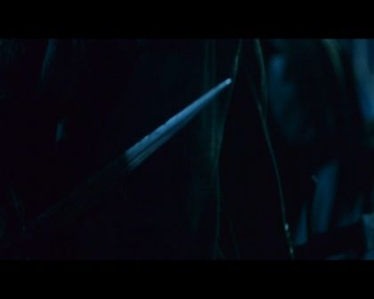 PDVD_1579.jpg