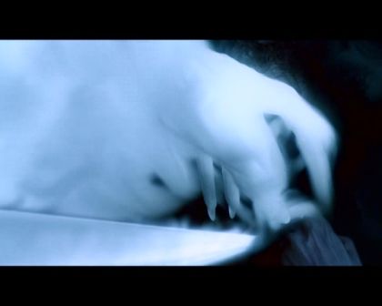 PDVD_1611.jpg