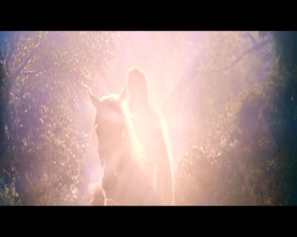 PDVD_1748.jpg