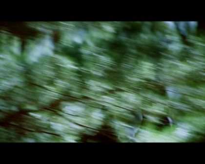 PDVD_1805.jpg