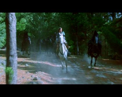 PDVD_1815.jpg