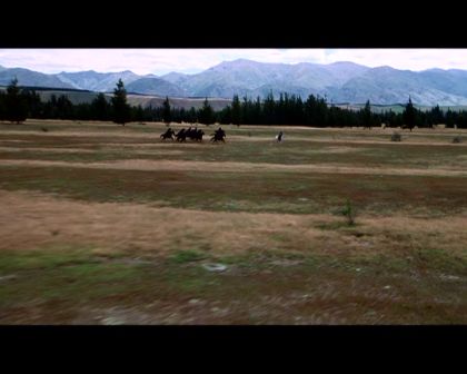 PDVD_1828.jpg