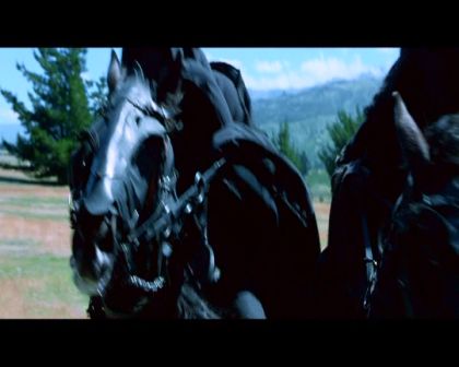 PDVD_1830.jpg