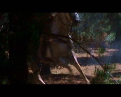 PDVD_1836.jpg
