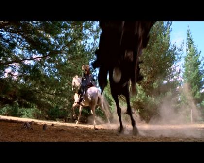 PDVD_1843.jpg
