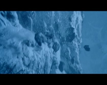 PDVD_2569.jpg