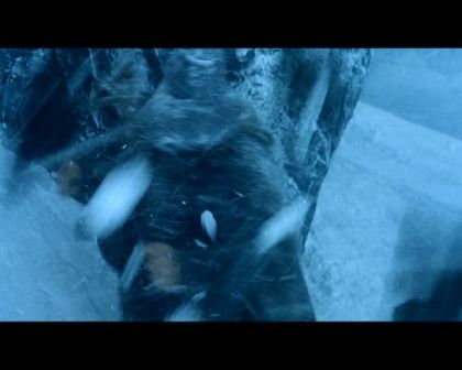 PDVD_2571.jpg