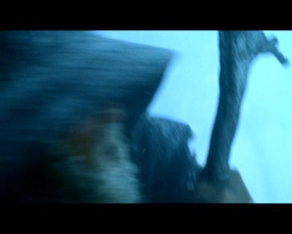 PDVD_2598.jpg