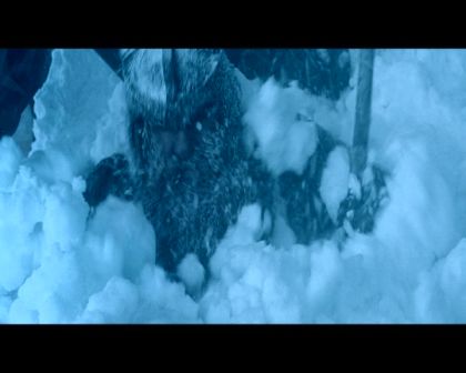 PDVD_2612.jpg