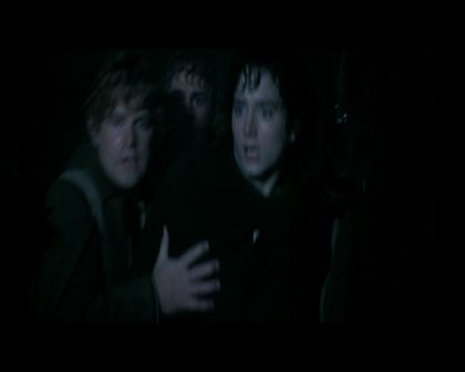 PDVD_2772.jpg