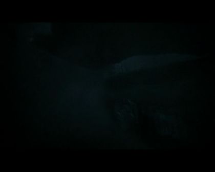 PDVD_2773.jpg