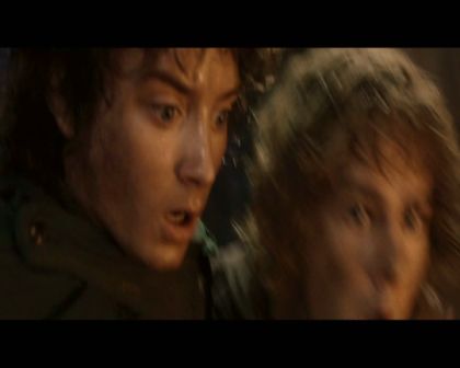 PDVD_3295.jpg