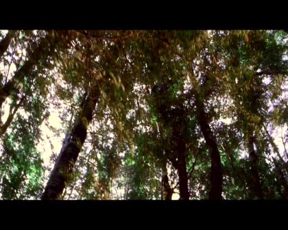 PDVD_3587.jpg