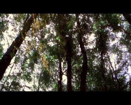PDVD_3588.jpg