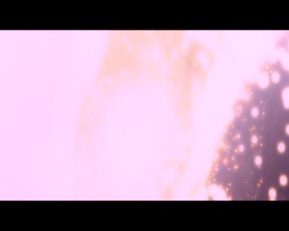 PDVD_364.jpg