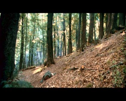 PDVD_4125.jpg