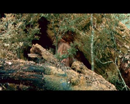 PDVD_4263.jpg