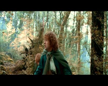 PDVD_4278.jpg