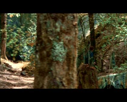 PDVD_4318.jpg