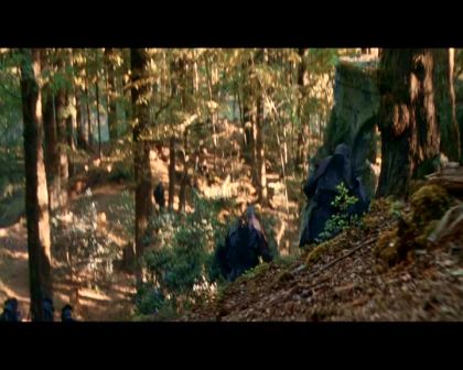 PDVD_4352.jpg
