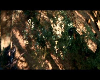 PDVD_4354.jpg