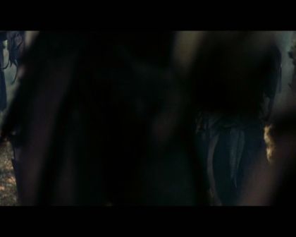 PDVD_4431.jpg