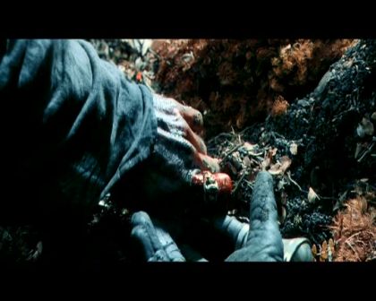 PDVD_4530.jpg
