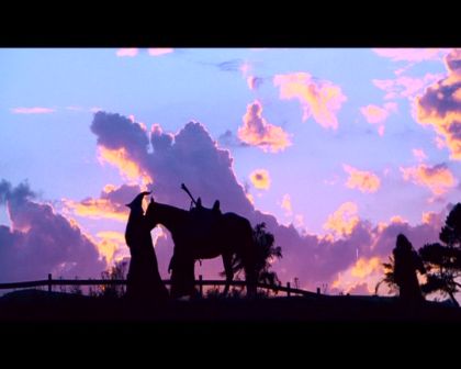 PDVD_829.jpg