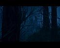 PDVD_1113