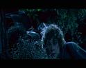 PDVD_1127
