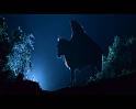 PDVD_1131