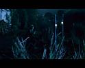 PDVD_1151